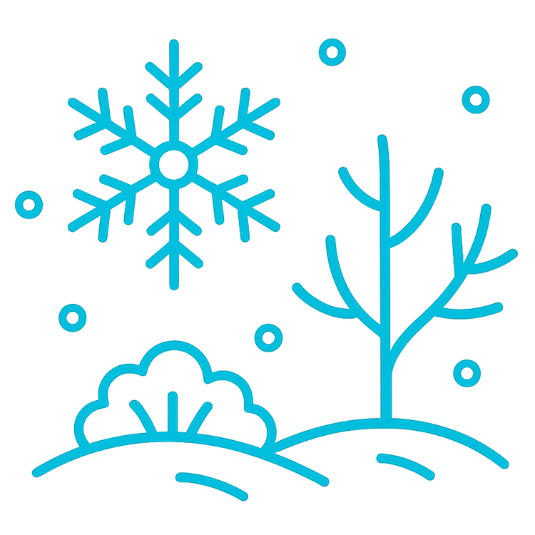 Winter wooden picnic table maintenance